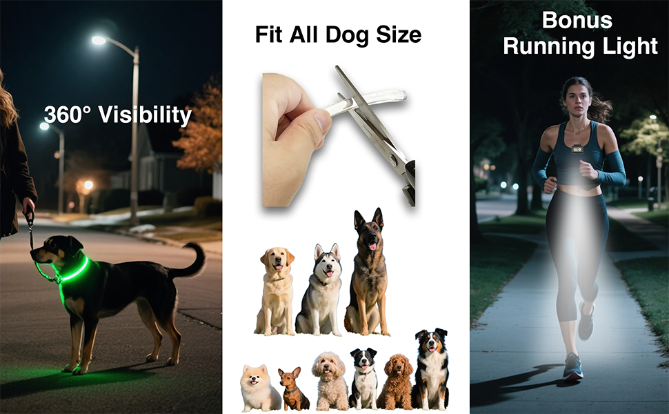 2 pack dog light up collar, rechargeable led collars, glow in the night necklace for camping safety,waterproof&adjustable for small medium large puppy,cats