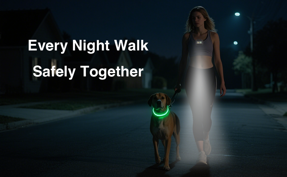 2 pack dog light up collar, rechargeable led collars, glow in the night necklace for camping safety,waterproof&adjustable for small medium large puppy,cats